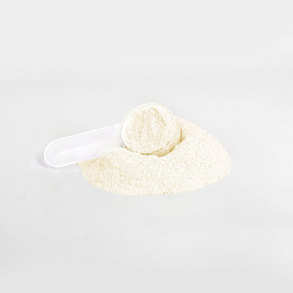 Hydration Powder (Peach Mango)