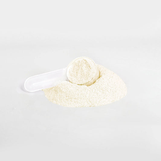 Hydration Powder (Peach Mango)